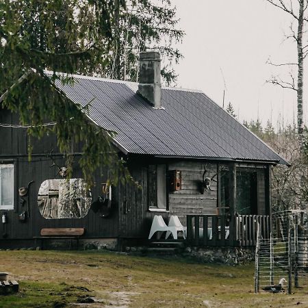 Private Farm Jakuzzi Sauna In The Forest 塔尔西 外观 照片