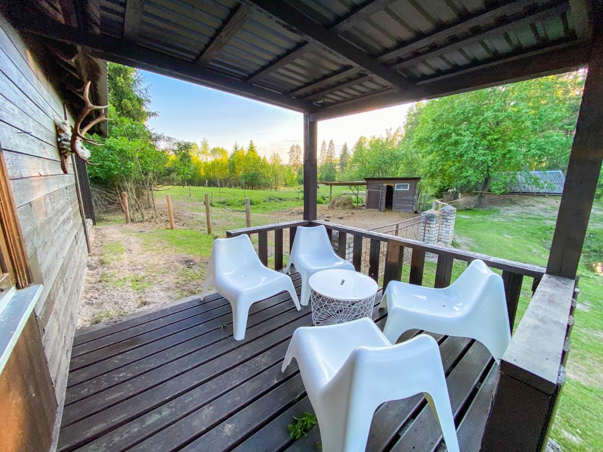 Private Farm Jakuzzi Sauna In The Forest 塔尔西 外观 照片