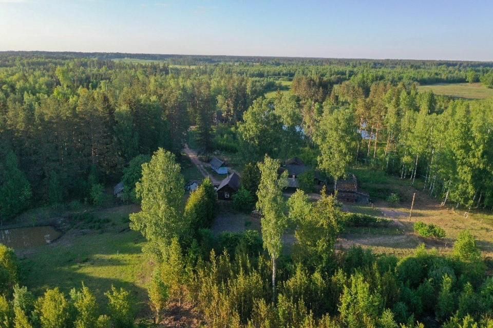 Private Farm Jakuzzi Sauna In The Forest 塔尔西 外观 照片