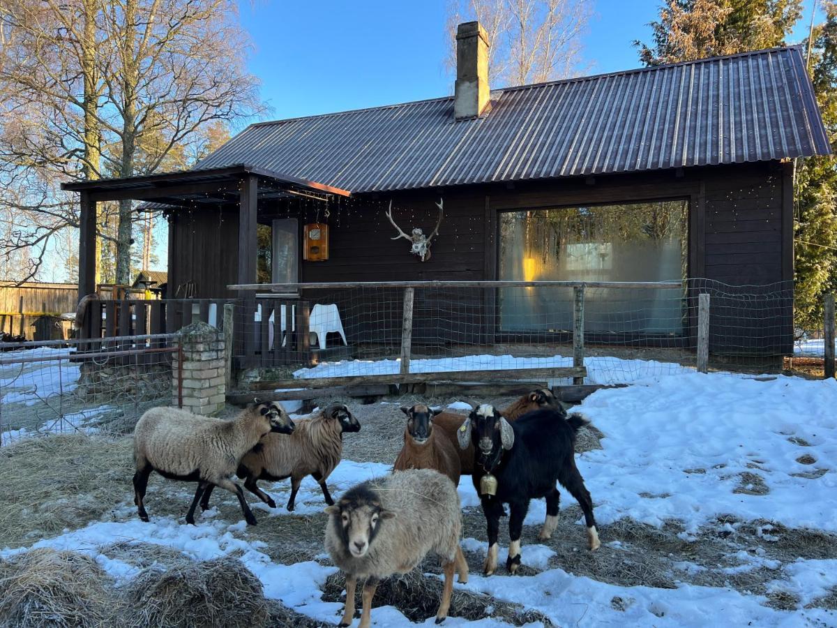 Private Farm Jakuzzi Sauna In The Forest 塔尔西 外观 照片